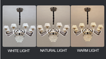 Paulo Tannehill Gold Crystal LED Chandelier - Reflect Lighting