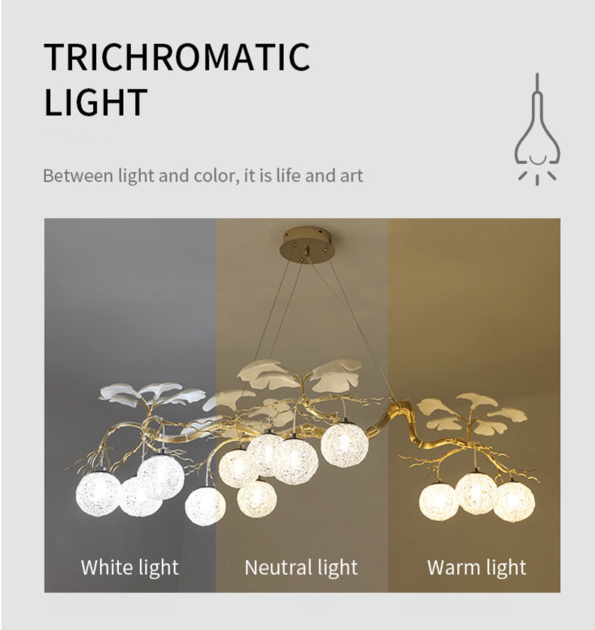 Hazel Gold LED Braided Chandelier - Reflect Lighting