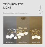 Hazel Gold LED Braided Chandelier - Reflect Lighting