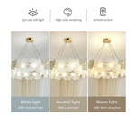 Monarch's Gleam Chandelier – Round/Rectangular - Reflect Lighting