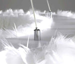 Novelty Feather Pendant Light- 4 Colours