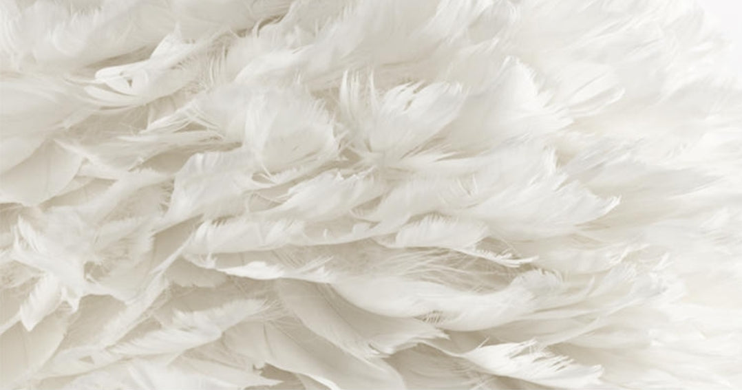 Ivory Feather Round Pendant Light - Reflect Lighting