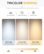 Aziria Golden Shell Crystal Chandelier-Round/Rectangular