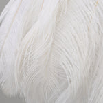 Feather Pendant Lamp-White - Reflect Lighting