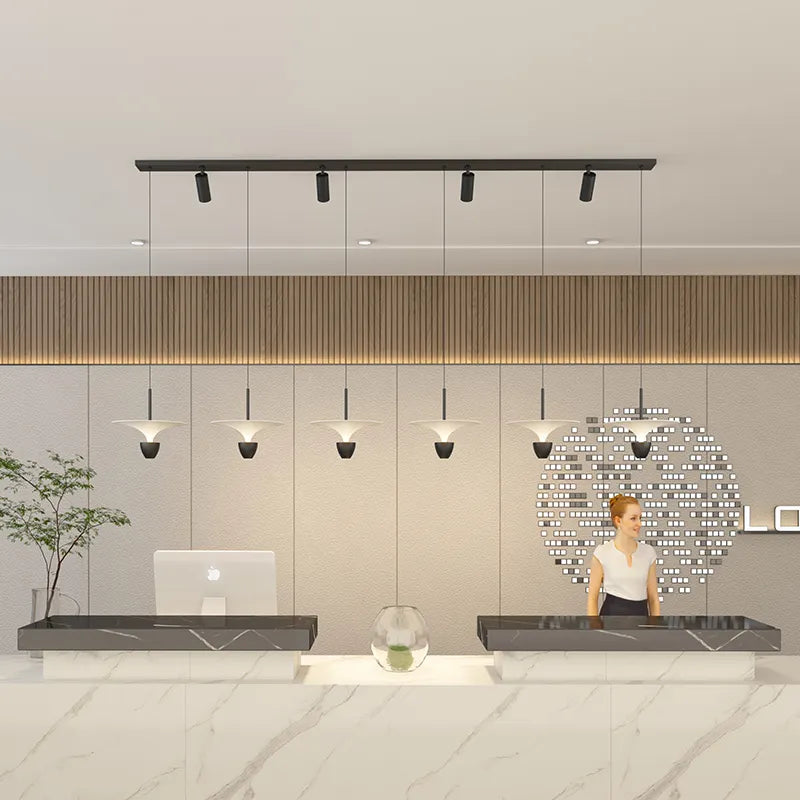 Vivienne Zion Saylor Pedant Light - Reflect Lighting