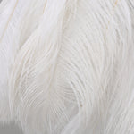 Redneck Feather Bird Chandelier - Reflect Lighting