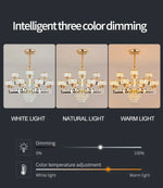 Cherron Muscato LED Chandelier