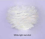 Ivory Feather Round Wall Lamp