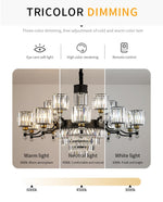 Boerner Boydston Gold/Black Crystal Chandelier - Reflect Lighting