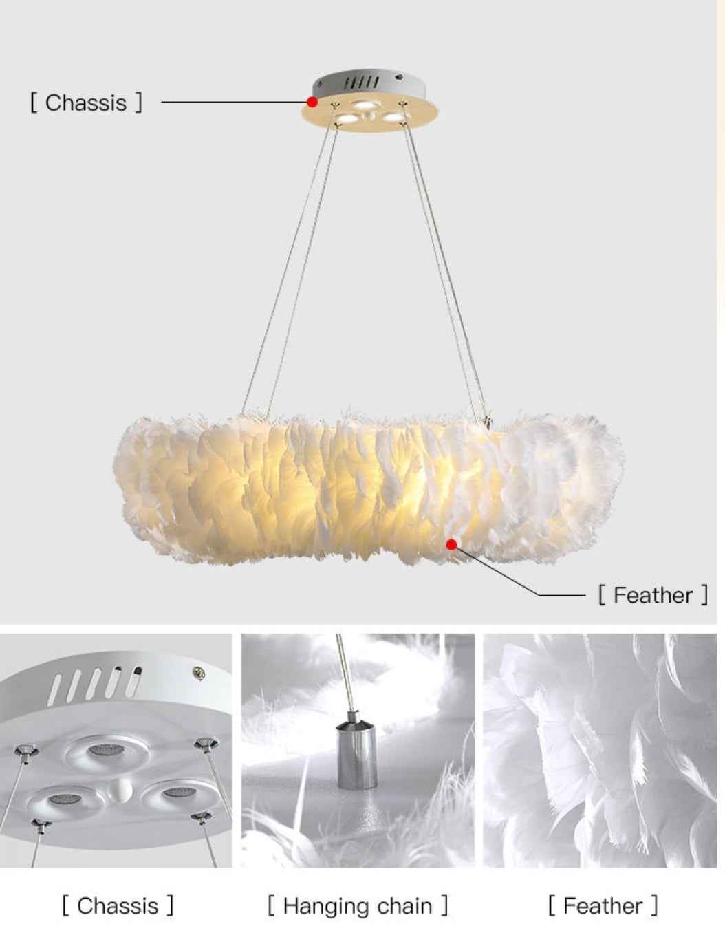 Novelty Feather Pendant Light- 4 Colours