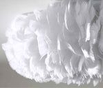 Novelty Feather Pendant Light- 4 Colours