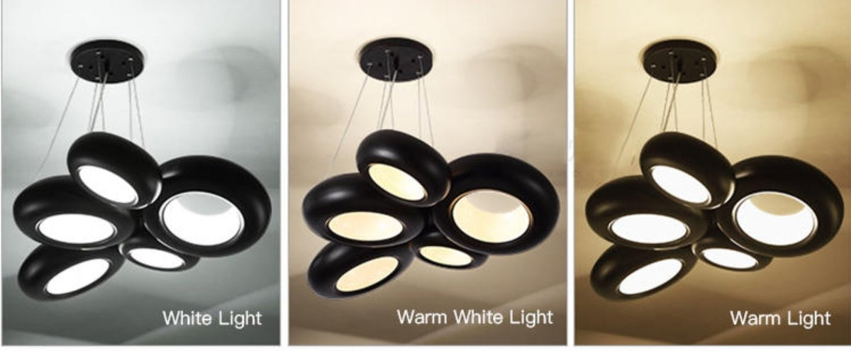 Oval Chandelier-Rose Gold & Black - Reflect Lighting