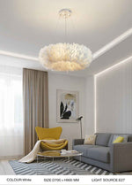 Novelty Feather Pendant Light- 4 Colours