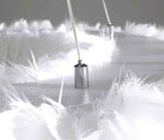 Novelty Feather Pendant Light- 4 Colours