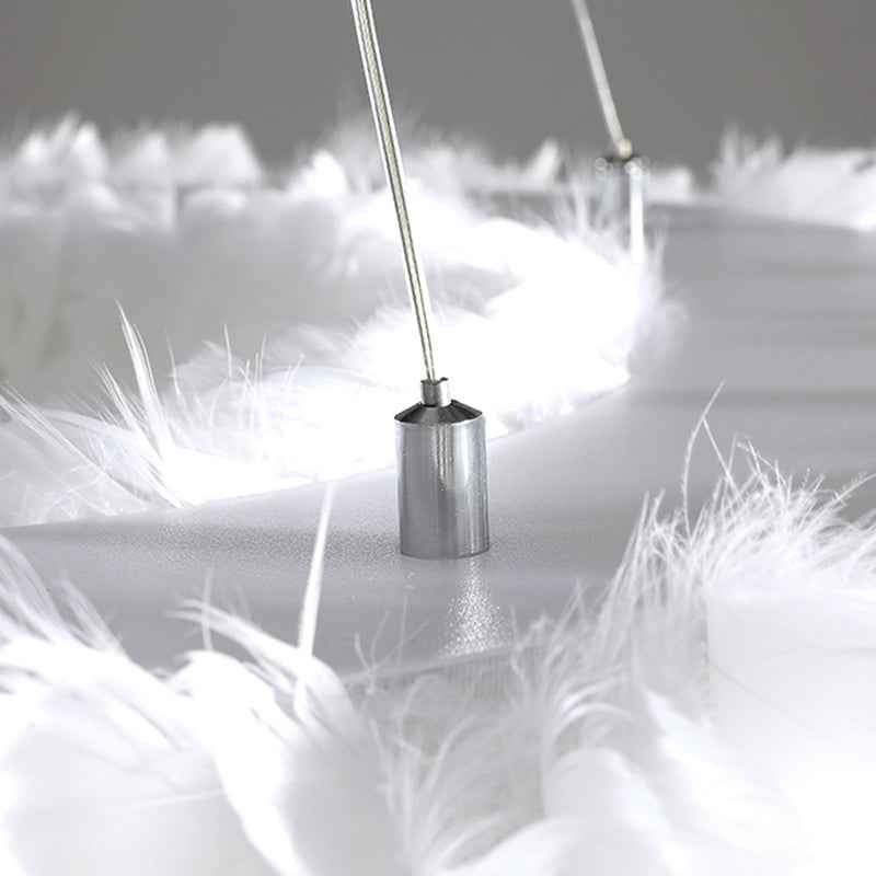 Novelty Feather Pendant Light- 4 Colours