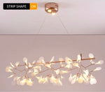 Albeiro Gossman Chandelier- 4 Colours