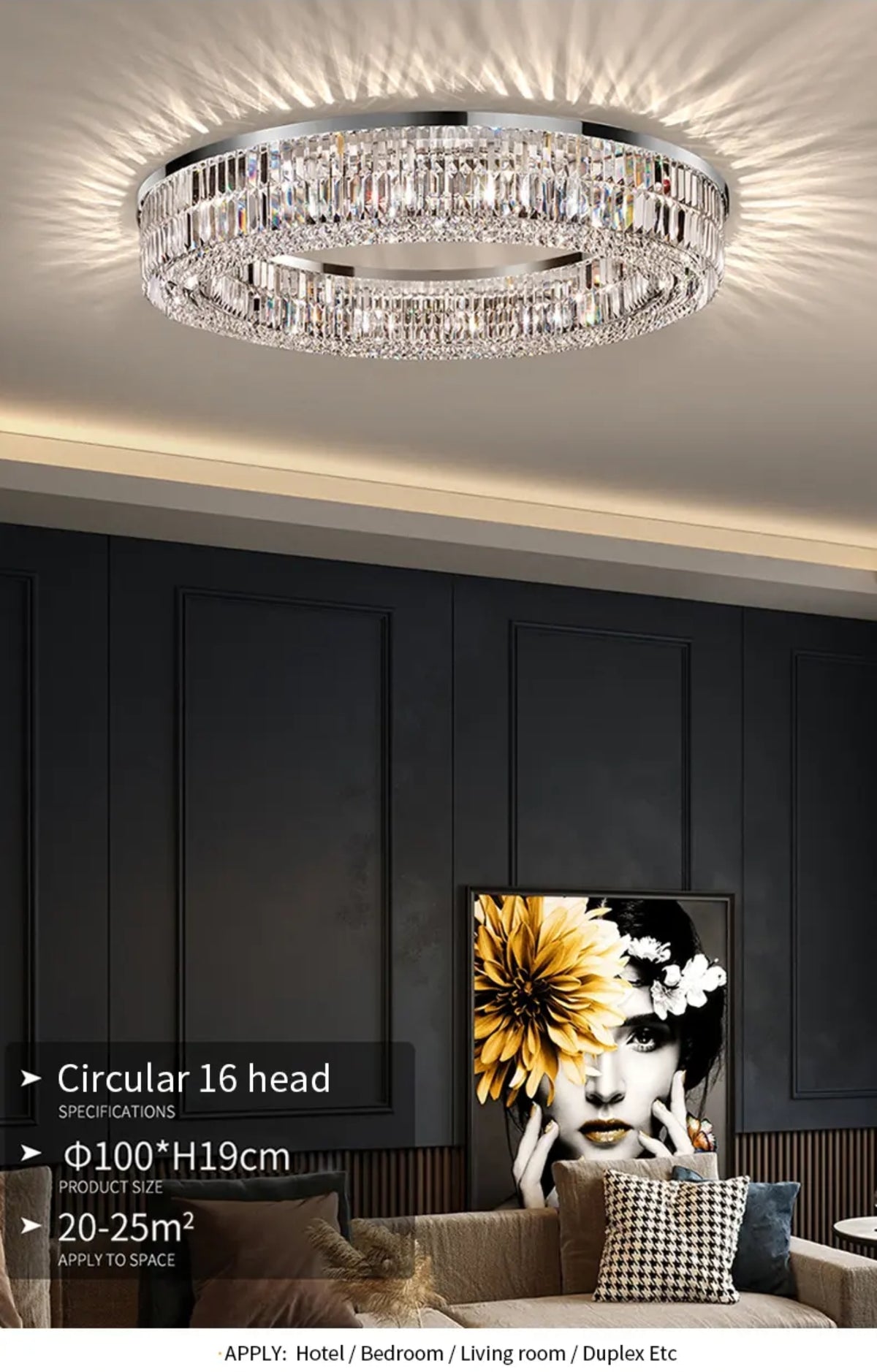 Charlie Salas Silver Ceiling Chandelier