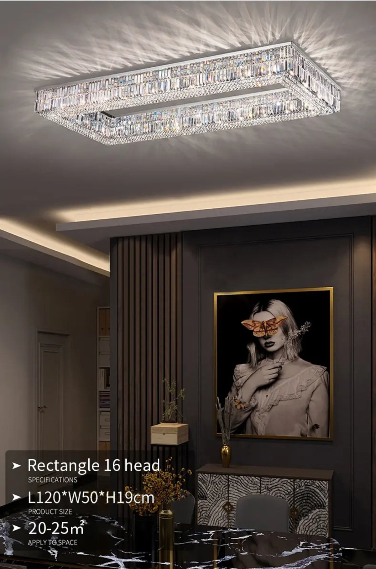 Charlie Salas Silver Ceiling Chandelier